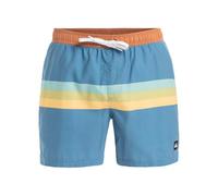 Quiksilver Everyday Straight Volley 15 Pantaloncini da tavola Uomo