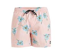 Quiksilver Everyday Straight Volley 15 Pantaloncini da tavola Uomo