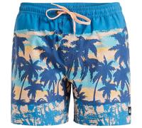 Quiksilver - Everyday Straight Volley 15 - Pantaloncini M blu