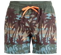 Quiksilver Everyday Straight Volley 15 Pantaloncini da tavola Uomo