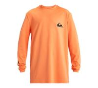 Quiksilver Everyday Surf Tee LS Youth T-Shirt Bambini e Ragazzi (Pacco da 1)
