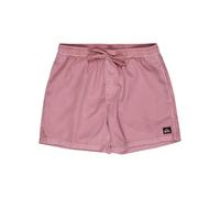 Quiksilver Everyday Surfwash Volley 15 Pantaloncini da tavola Uomo