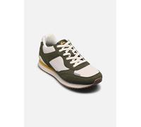 Quiksilver - FONTANA Verde - Sneakers 46 Verde