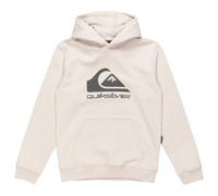 Quiksilver - Kid's Big Logo Hoodie - Felpa con cappuccio 10 Years bianco