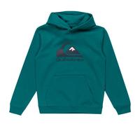 Quiksilver - Kid's Big Logo Hoodie - Felpa con cappuccio 16 Years turchese