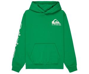 Quiksilver - Kid's Omni Logo Hoodie - Felpa con cappuccio 14 verde