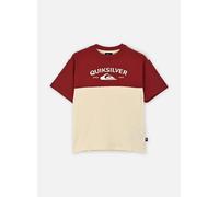 Quiksilver - Knowledge Aera Ss Tee Youth Beige - Abbigliamento 16A Beige