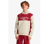 Quiksilver Knowledge Area Hoodie Beige 8 Years Ragazzo