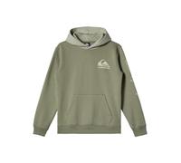 Quiksilver Logo - Pullover con Cappuccio da Ragazzo 8-16
