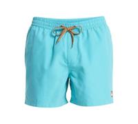 Quiksilver Men Everyday Solid Volley 15" Aqua L L