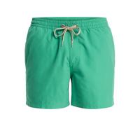 Quiksilver Men Everyday Solid Volley 15" Leprechaun M M
