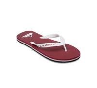 Quiksilver Men Molokai Core Burnt Russet 8 UK 42 EU
