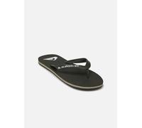 Quiksilver - MOLOKAI CORE Verde - Infradito 43 Verde