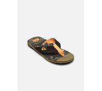 Quiksilver - MOLOKAI LAYBACK II YOUTH Multicolore - Infradito 31 Multicolore