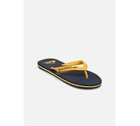 Quiksilver - MOLOKAI STRIPE 25 Blu - Infradito 42 Blu