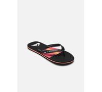 Quiksilver - MOLOKAI STRIPE 25 Multicolore - Infradito 45 Multicolore