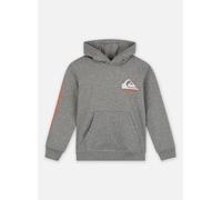 Quiksilver - Omni Logo Hoodie Youth EQBFT03924 Grigio - Abbigliamento 12A Grigio