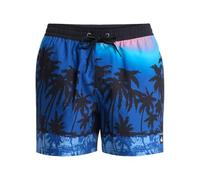 Quiksilver Pantaloncini da Bagno Everyday Printed Volley 15 Uomo Blu