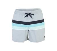 Quiksilver Everyday Printed Volley 15´´ Swimming Shorts Blu S Uomo