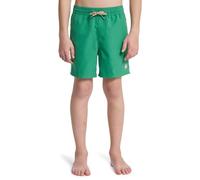 Quiksilver Pantaloncini da Bagno Everyday Volley Yth 14 Ragazzo Verde