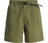Quiksilver - Pantaloncini resistenti e idrorepellenti - Run Ashore Amphibian Hybrid Short Grape Leaf per Uomo in Nylon - Taglia S - Verde