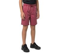 Quiksilver Pantaloni Corti Taxer
