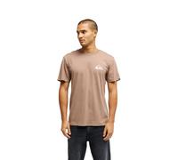 Quiksilver Pantaloni EV Mini Logo Uomo Beige