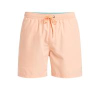 Quiksilver Spl Fineline Volley 15 Pantaloncini da tavola Uomo