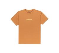 Quiksilver T-Shirt Manica Corta EV Fineline SS Marrone 8