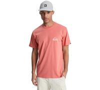 Quiksilver T-Shirt Manica Corta EV Mini Logo SS Uomo Rosa