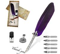 Quill Pen Set,Penna Della Piuma di Calligrafia,penna d'oca con 5 pennini, portapenne,inchiostro nero e Scatola Regalo.