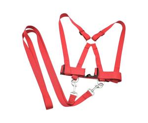 QUILSTM L'imbracatura per equitazione unisce divertimento e sicurezza, incoraggiando gli amici a impegnarsi in un gioco attivo insieme. Imbracatura per, Rosso, Da 39.5 cm a 63 cm