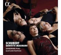 Quintette Imaginaire - Franz Schubert (Audio Cd)