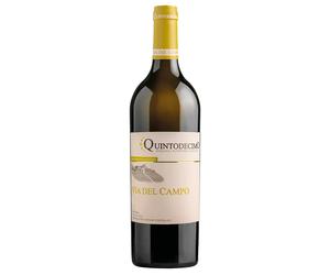 Quintodecimo Falanghina Via del Campo Irpinia DOC 2025 0,75 ℓ