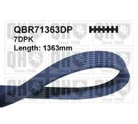 QUINTON HAZELL QBR71363DP Cinghia servizi per VW GOLF III (1H1) CORRADO (53I)