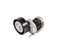 QUINTON HAZELL QTA1165 Braccio tenditore, Cinghia Poly-V