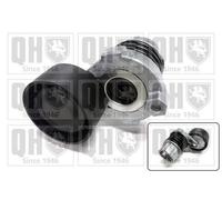 QUINTON HAZELL QTA1635 Rullo tenditore cinghia Poly-V 65mm per DACIA DUSTER