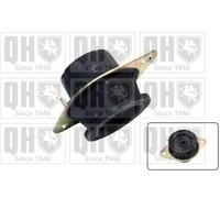 QUINTON HAZELL Supporto motore Cuscinetto gomma-metallo EM4542