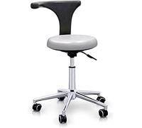 QUIRUMED Sgabello con Schienale Ergonomico Professionale, Colore Silver, Struttura in Acciaio Inox, Similpelle, Base con Ruote, Sedile Regolabile in Altezza, fino a 120 kg