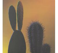 Quitapenas Mas Tropical/Que Te Pasa (Vinyl LP)
