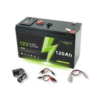 Quixpszto Batteria Ricaricabile LiFePO4 12V 150Ah con Caricabatterie e BMS Integrato, Ingresso 12,6V - Compatibile con Pannelli solari, Giocattoli cavalcabili, fishfinder(USB 120Ah-charger)