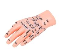 Qukaim Modello di insegnamento dell'agopuntura della mano Modello di punto di agopuntura della mano, modello di insegnamento per massaggio agopuntura e riflessologia, design dettagliato