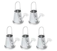 QUMIIRITY 5 Pezzi Bollitore Micro Paesaggio Piccolo Brocca Carino Pianta Mini Lattina D'acqua Per Decorativo Potere Piante Arredamento Pentola Minuscolo Ferro Da Stiro Silver