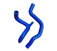 QUNWETX Flessibile per Radiatore Compatibile con Ford per Taurus per EcoBoost 180 1.5 GTDI 2016 2017 Tubo Flessibile Troppo Pieno del Radiatore Liquido di Raffreddamento DG9Z8286L