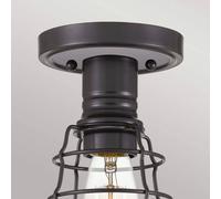 QUOIZEL Plafoniera Mixon con gabbia in metallo, Bronz QUOIZEL