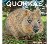 Quokkas 2026 Wall Calendar