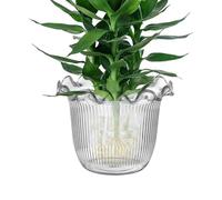 Qurygin Vaso da fiori trasparente, per bouquet di fiori, contenitore per piante acquatiche per balcone, cucina, eventi, addio al nubilato, sfondo fotografico, ristorante, centrotavola per matrimoni