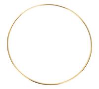 Qusedwey 8Pcs 8 Pollici Anelli Dream Catcher Cerchi nel Metallo macramè per e Forniture Dream Catcher,