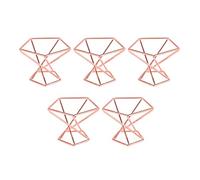 Qusedwey Confezione da 5 Supporti per Piante Ad Aria Supporti per Piante Ad Aria Tillandsias Display Contenitore per Piante per Purificare l'Aria Supporto per Felci Ad Aria, Rosa