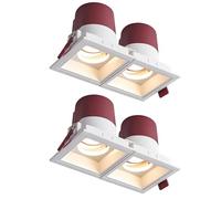 QUSYZD Faretto Rettangolare a 2 Teste Regolabile, apparecchio di Illuminazione Senza alloggiamento 10W/20W/30W, Luce a bulbo oculare da Incasso, CRI >90, Finitura Bianca, conf,2 * 15w-Neutral Light